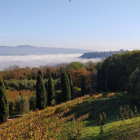 La Chiusetta Villa Orvieto Exterior photo