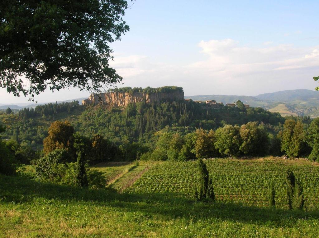 La Chiusetta Villa Orvieto Exterior photo